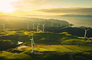 Renewable + Law Blog Image with Windmills